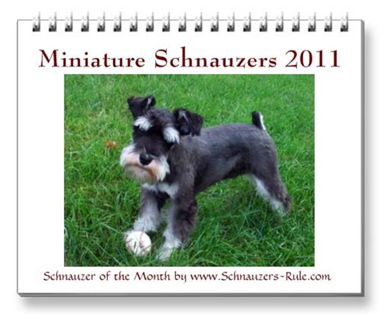 Just click on the calendar to 1 page yearly calendar 2011. Just click on the calendar to