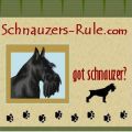 Miniature Schnauzers Rule