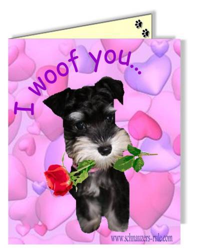 Choose the dog that stars in your animated ecard. ecard-valentine