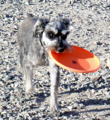 Pootie Tang Loves to Play Frisbee