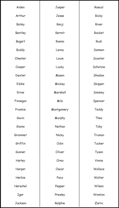 names for dogs