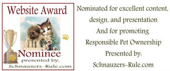 website award