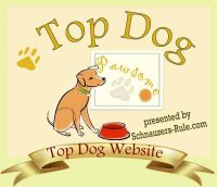 dog website award