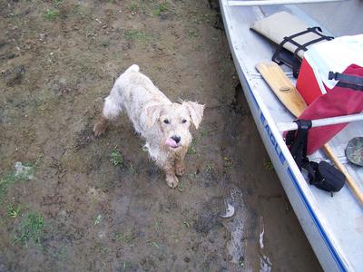Ghost loves to go canoeing