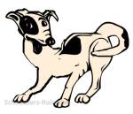 canine compulsive disorder, tail chasing