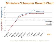 Miniature Schnauzer Growth Rate Chart
