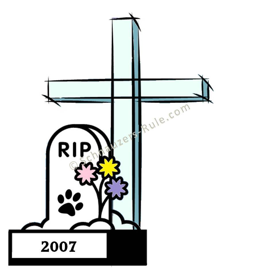 2007 recall grave