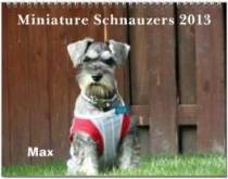 2013 Miniature Schnauzer Calendar