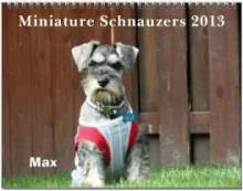 Miniature Schnauzers 2013 Calendars
