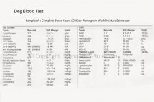 dog blood test