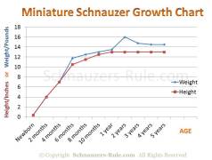 Min Pin Puppy Growth Chart