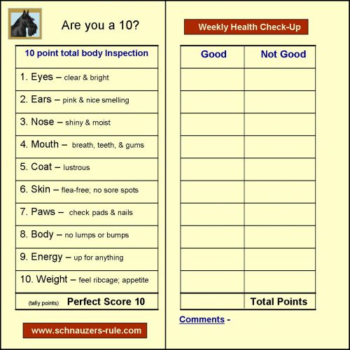 Puppy Training Chart