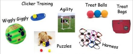 dog training aids