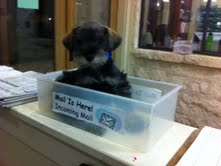 Cutest Package Ever