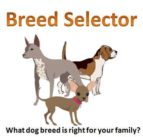 breed selector test