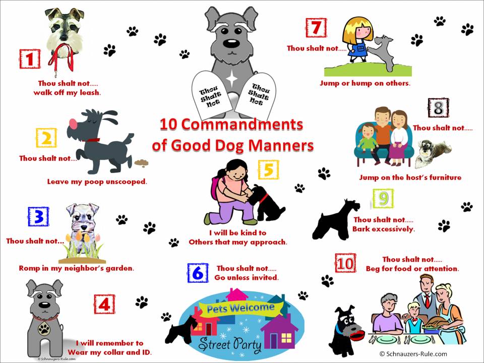 Dog Commandments Pet Etiquette