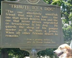 Man S Best Friend Tribute To A Dog