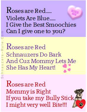 Valentines Day Dog Poems