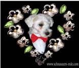 Love e-card, dog ecard, schnauzer card