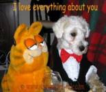 Love ecard, dog ecard, schnauzer card