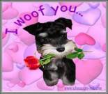 valentines day dog ecard