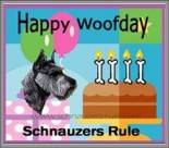 Pet Birthday e-card, dog ecard, schnauzer card