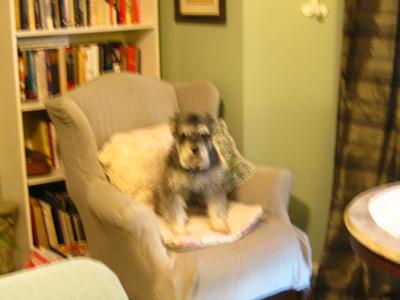 Gretchen relaxing in the living room