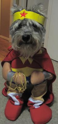 Howies first Holloween 