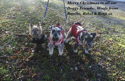 We love Christmas..