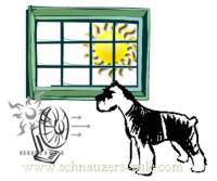Keep Dog Cool Without AC