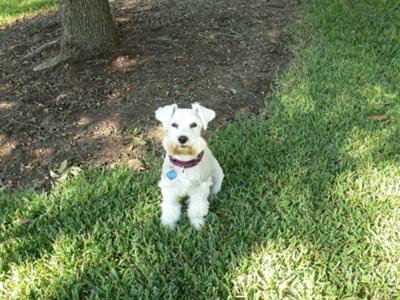 posing in the yard