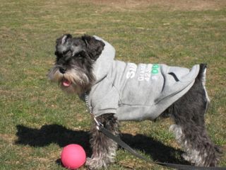 Lola in Central Park