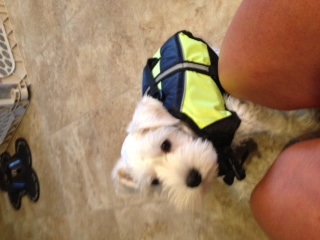 Suited up for swim lessons