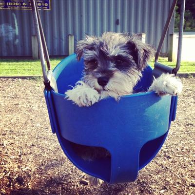 At The Park