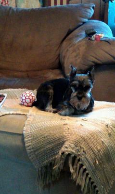 ...looking like a grandpa!!