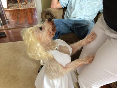 Louie as Marylyn Monroe 