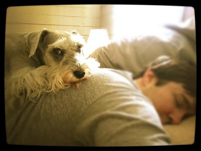 A sleeping human is the best doggie bed ever!