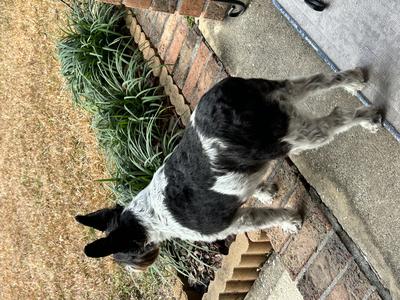On guard 