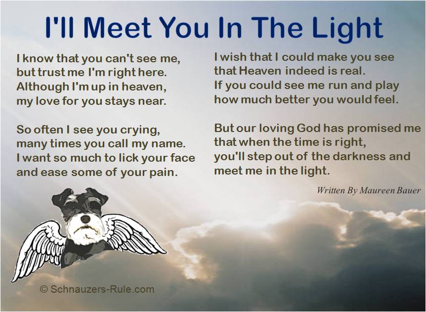 https://www.schnauzers-rule.com/images/pet-loss-poem-meet-me-in-the-light-maureen-bauer.jpg