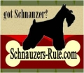 Miniature Schnauzers Rule