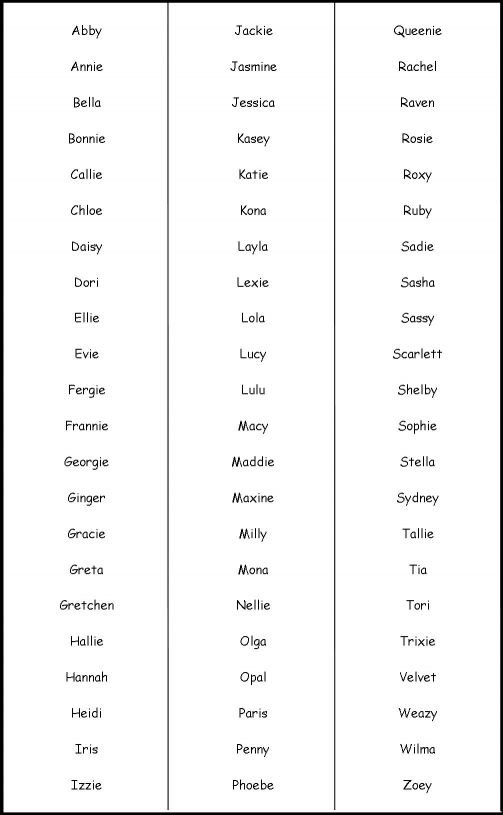 top female dog names