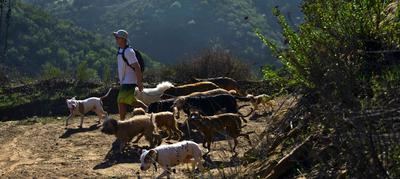 Pack Hike