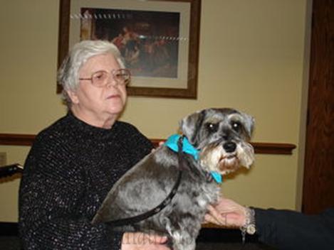 About Therapy Dogs and Schnauzers
