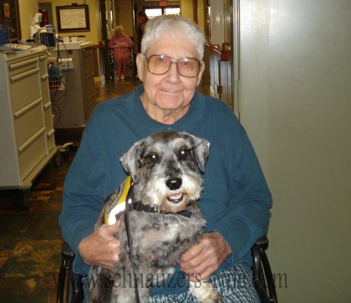 Therapy Dog Harley providing comfort