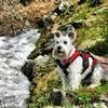 Taking a break during a hike.