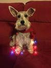 2nd Christmas