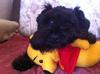 This is me sleeping on my favorite pooh