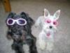 Sporting our Doggles 
