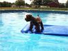 Checking out the pool