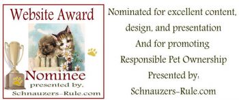 pet website award